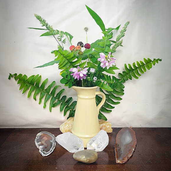 Meet the owner! - Picture 3 of 3